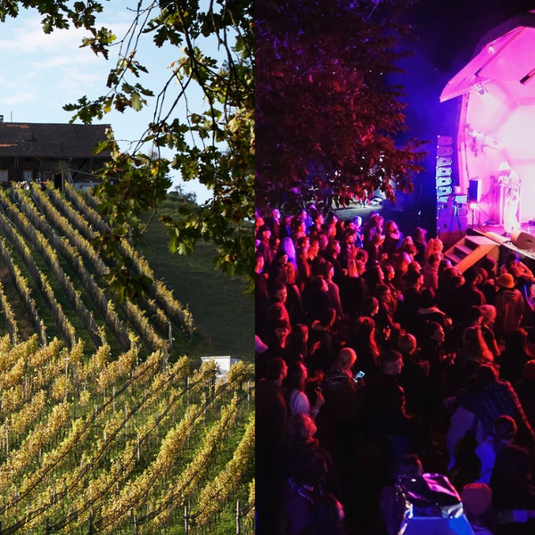 [Stooszyt] Das NON Openair verbindet Musik mit Wein: Ein Festival auf dem Weingut Sitenrain