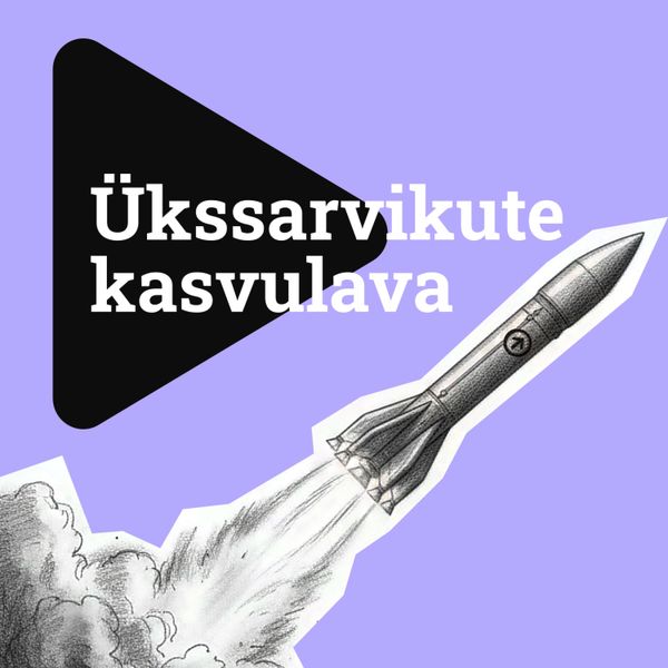 Eesti väikefirma vallutas India ja ronis oma nišis maailma tippu