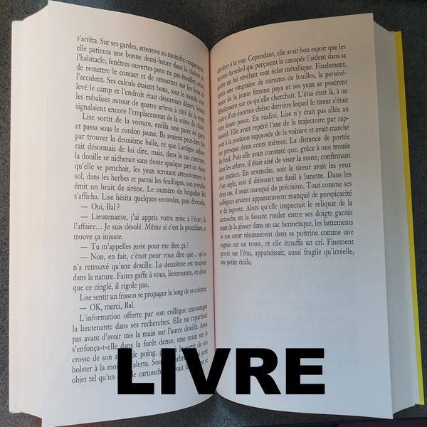 RADIO CAROLINE - Livre